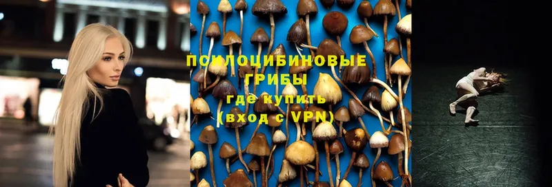 Галлюциногенные грибы мухоморы  магазин продажи наркотиков  Киров 